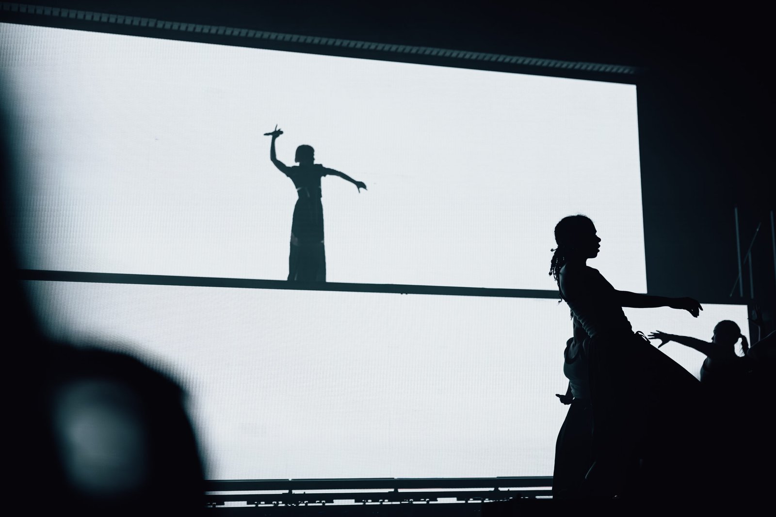 Spectacle Vivant
